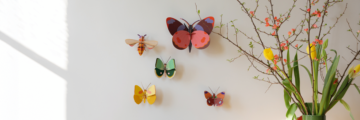 Butterflies