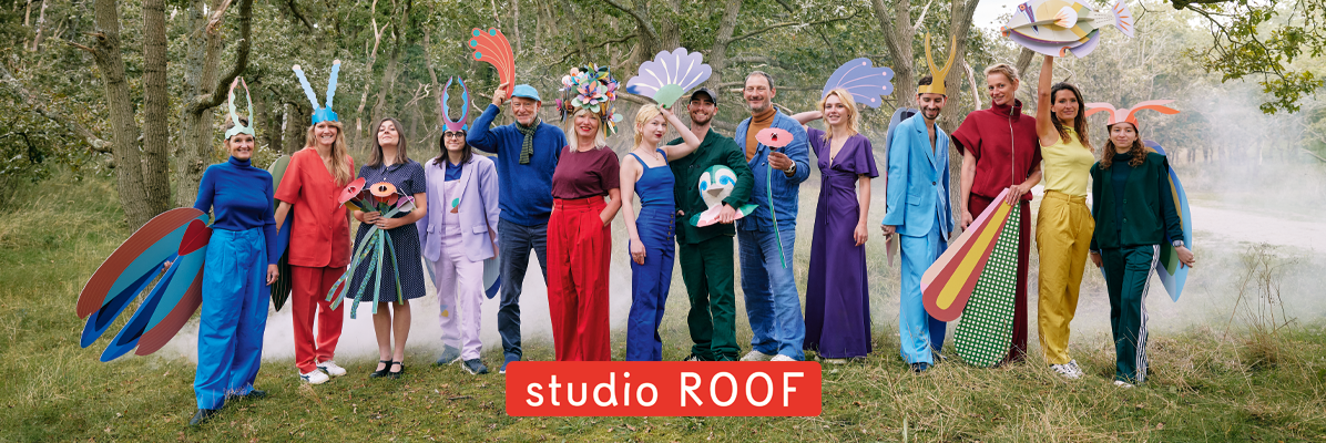 Studio Roof