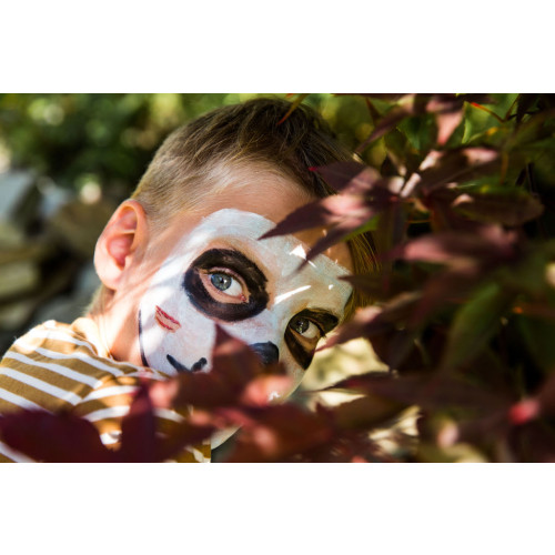 Namaki Face Painting Kit 3 Colours - Devil & Spider