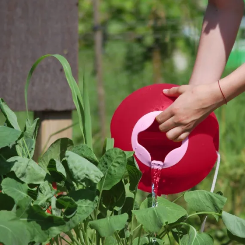 Quut Outdoor Toy Bucket Ballo (Cherry)