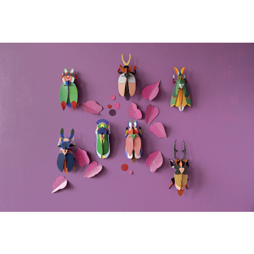 Studio Roof Insect (L) - Rhinoceros Beetle