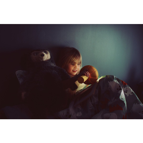 Blafre Portable USB Night Lamp (Rust Red)