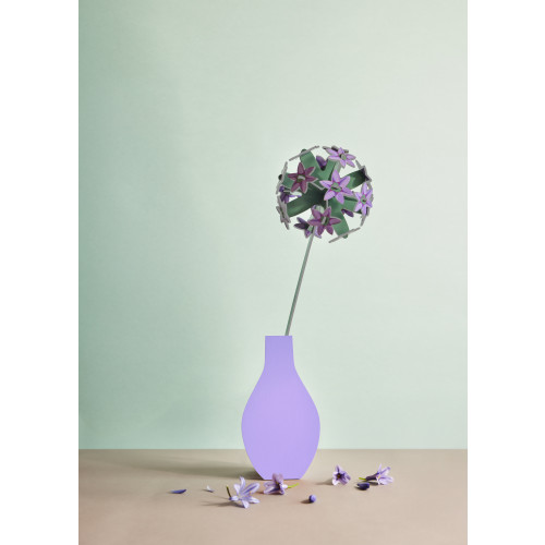 Studio Roof Everlasting Flower (L) - Allium