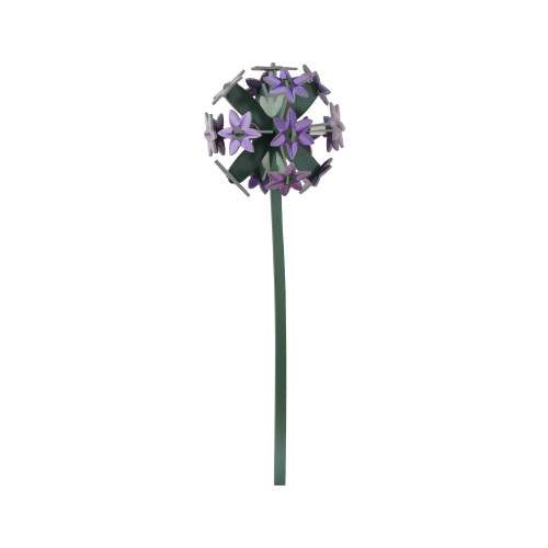 Studio Roof Everlasting Flower (L) - Allium