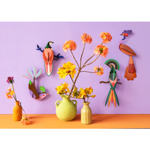 Studio Roof Paradise Bird - Maui