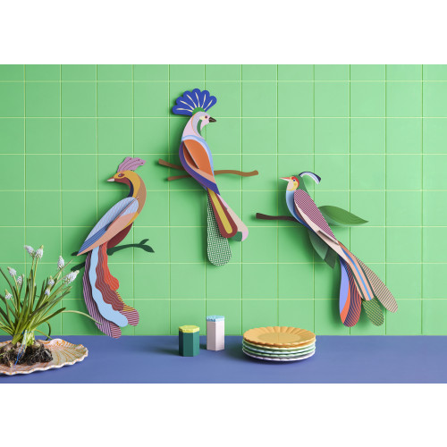 Studio Roof Paradise Bird - Nusa