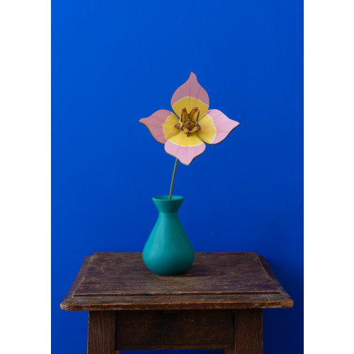 Studio Roof Everlasting Flower (S) - Blushing Tulip