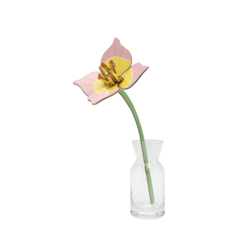 Studio Roof Everlasting Flower (S) - Blushing Tulip