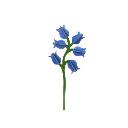 Studio Roof Everlasting Flower (L) - Campanula
