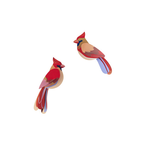 Studio Roof Garden Birds - Cardinals