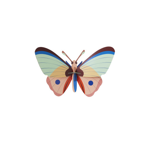 Studio Roof Insect (L) - Giant Cattleheart Butterfly