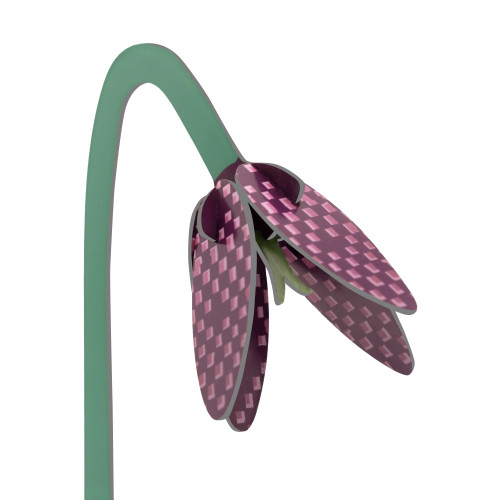 Studio Roof Everlasting Flower (S) - Checkered Lily