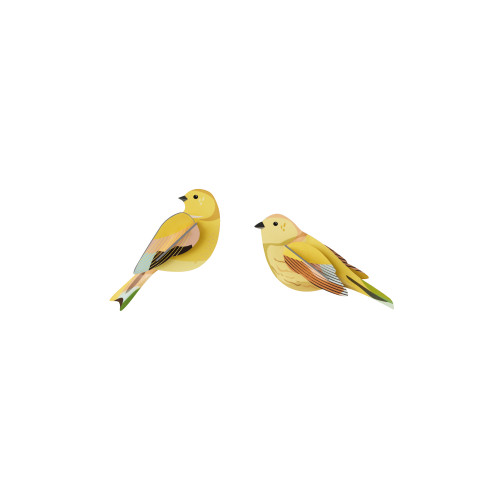 Studio Roof Garden Birds - Citrinella Pair