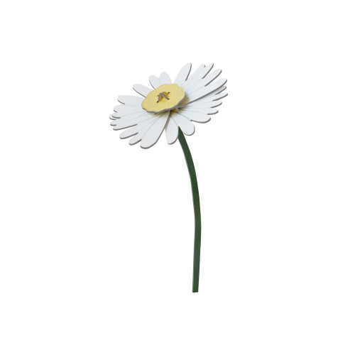 Studio Roof Everlasting Flower (L) - Daisy