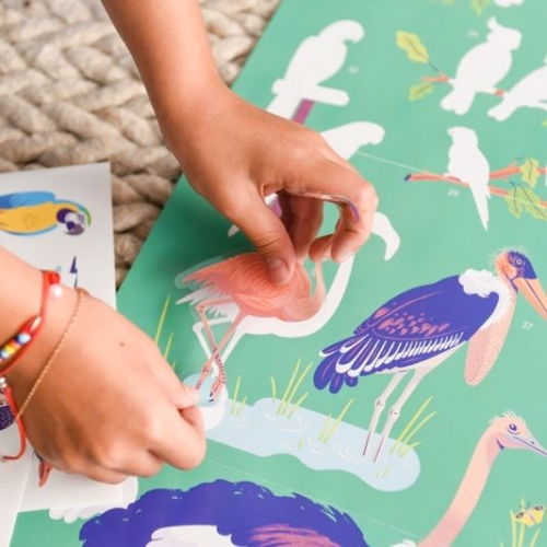 Poppik Discovery Sticker Poster - Birds