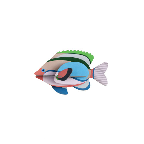 Studio Roof Sea Creature (L) - Fairy Wrasse