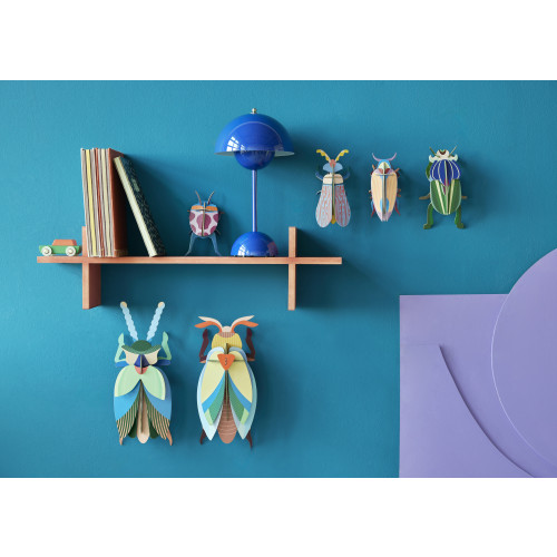 Studio Roof Insect (S) - Striped Wing Beetle