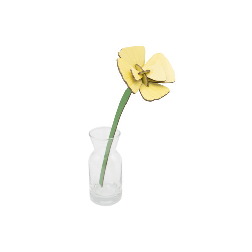 Studio Roof Everlasting Flower (S) - Golden Poppy