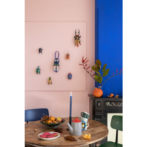 Studio Roof Insect (S) - Fungus Beetle