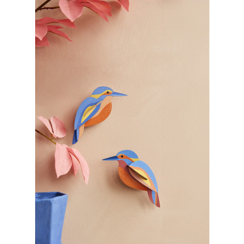 Studio Roof Garden Birds - Kingfishers