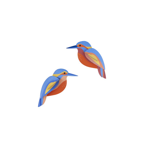 Studio Roof Garden Birds - Kingfishers