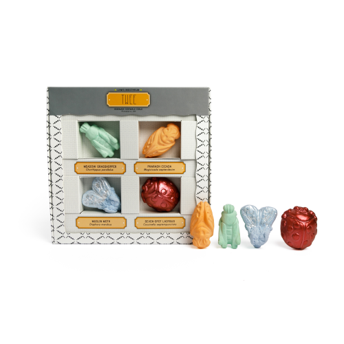 Twee Handmade Sidewalk Chalk - Liam's Insectarium