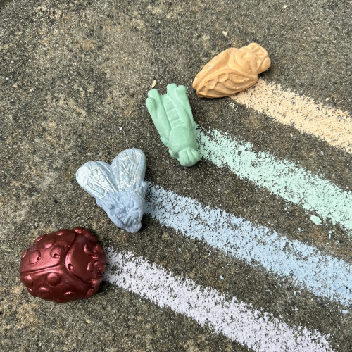 Twee Handmade Sidewalk Chalk - Liam's Insectarium