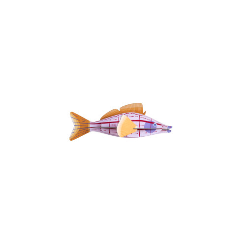 X) Studio Roof Sea Creature (L) - Longnose Hawkfish