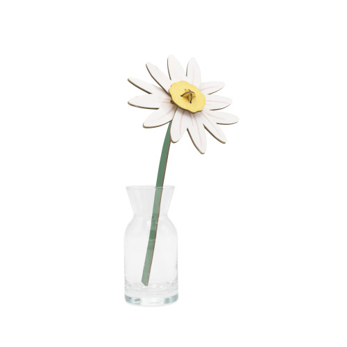 Studio Roof Everlasting Flower (S) - Meadow Daisy