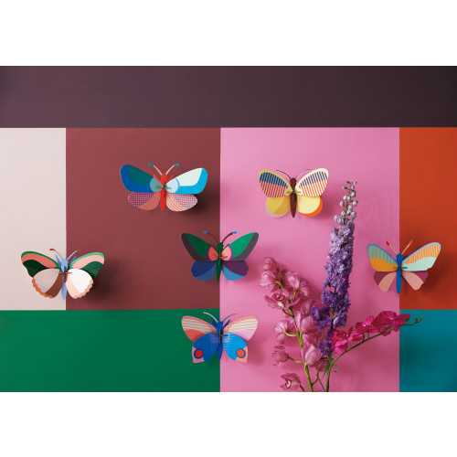 X) Studio Roof Insect (M) - Acacia Butterfly