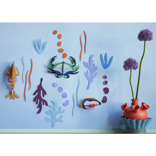 Studio Roof Wall of Curiosities Set - Ocean's Tale Trio