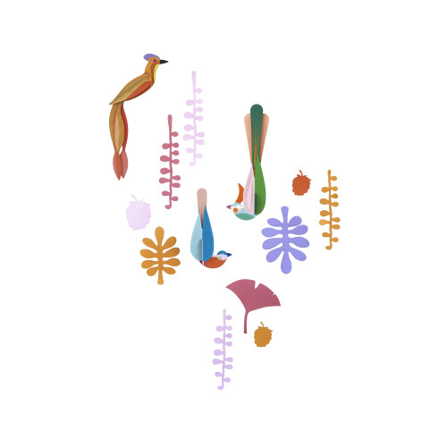 Studio Roof Wall of Curiosities Set - Paradise Nest Trio