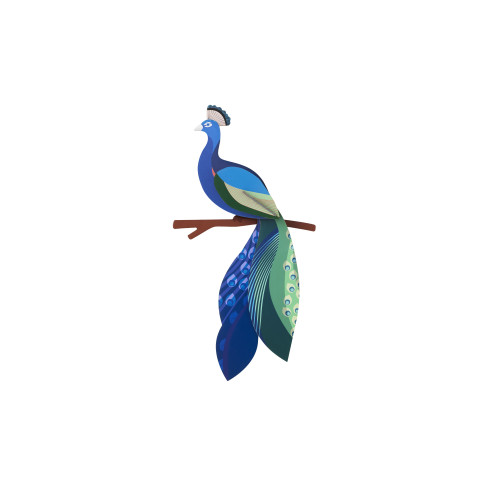 SS26: Studio Roof Paradise Bird - Peacock