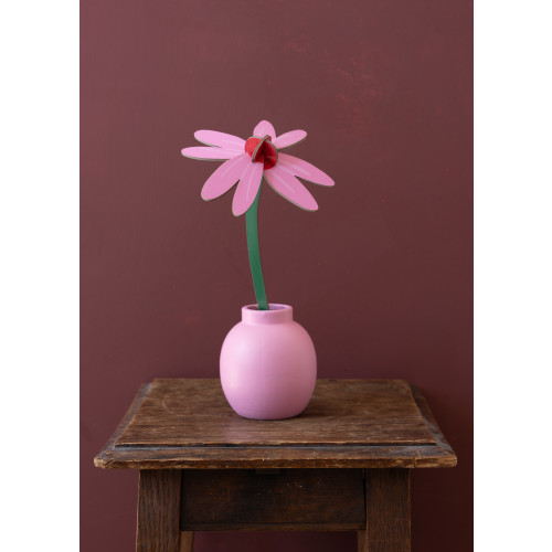 Studio Roof Everlasting Flower (S) - Pink Coneflower