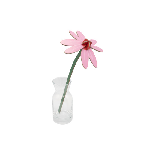 Studio Roof Everlasting Flower (S) - Pink Coneflower
