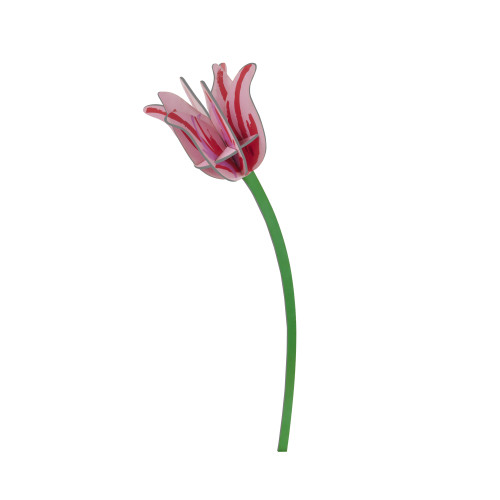 Studio Roof Everlasting Flower (L) - Pink Tulip