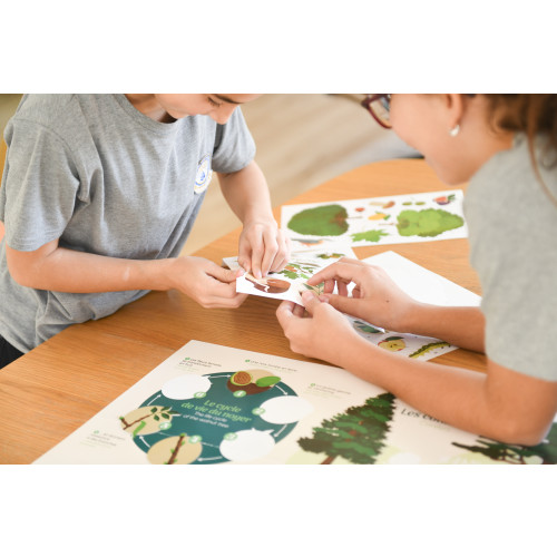 Poppik Discovery Sticker Poster - Tree