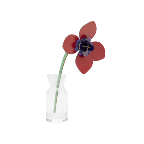 Studio Roof Everlasting Flower (S) - Red Anemone