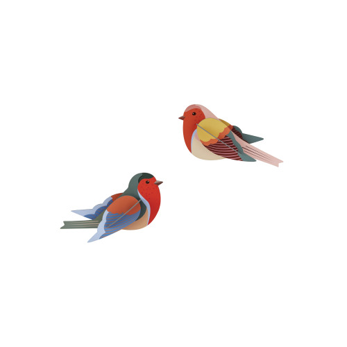 Studio Roof Garden Birds - Robins