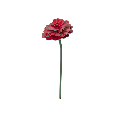 Studio Roof Everlasting Flower (L) - Rose