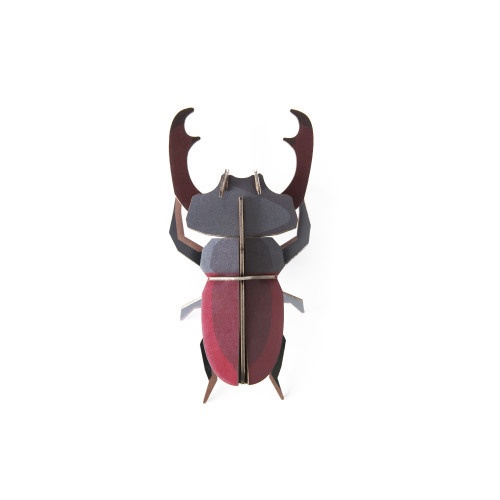 Studio Roof Insect (S) - Stag Beetle