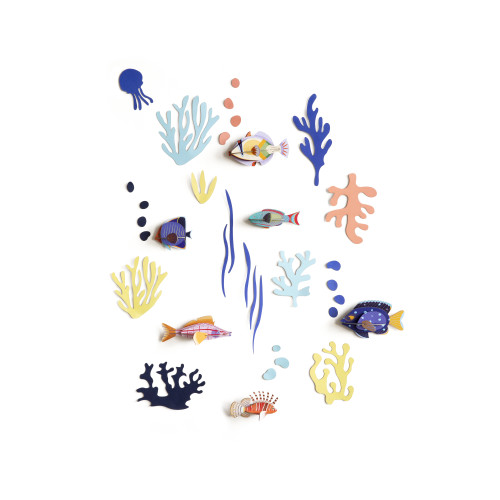 Studio Roof Wall of Curiosities Boxed Set - Fish Hobbyist