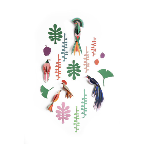 X) Studio Roof Wall of Curiosities Boxed Set - Bird Observer