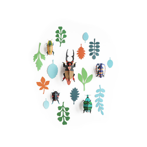 X) Studio Roof Wall of Curiosities Boxed Set - Beetle Antiquary