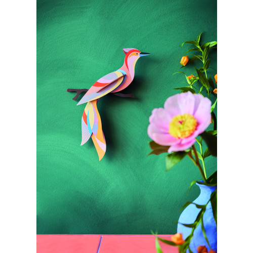 X) Studio Roof Paradise Bird - Sabah