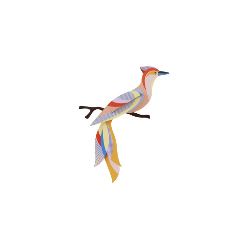 X) Studio Roof Paradise Bird - Sabah