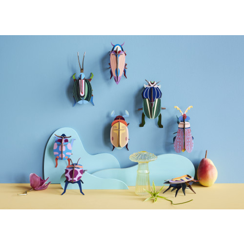 Studio Roof Insect (S) - Mango Flower Beetle