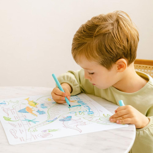 Super Petit Colouring Mat Set - Learn & Play Age Of The Dinosaurs