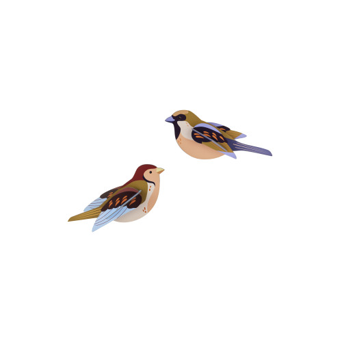Studio Roof Garden Birds - Sparrows