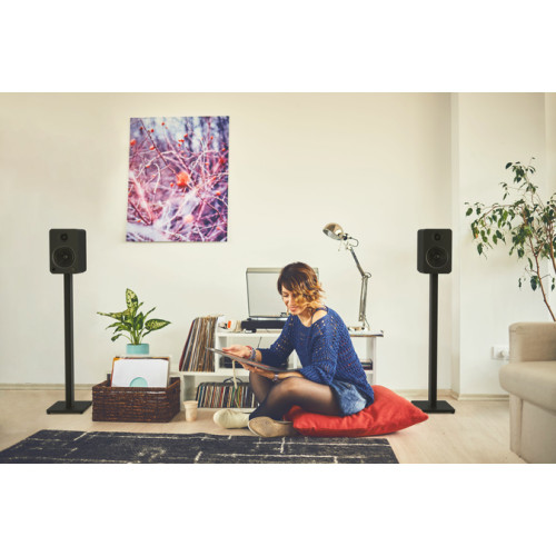 Kanto ST34 Speaker Stands 34â€ (Black)